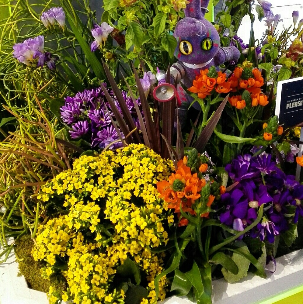 Meet your Posher, May